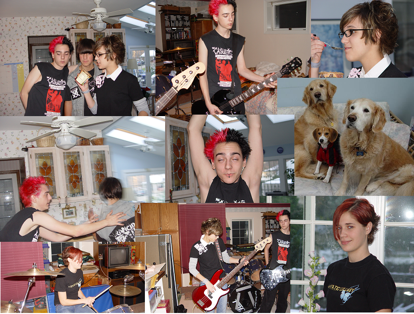 theband.jpg